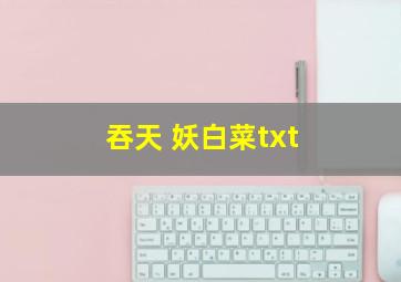 吞天 妖白菜txt